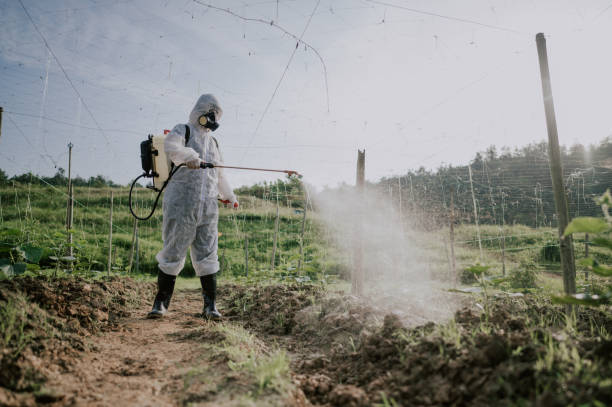 Best Best Pest Control Companies  in Clatskanie, OR