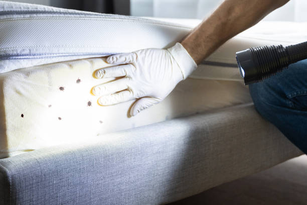 Best Best Pest Control Near Me  in Clatskanie, OR