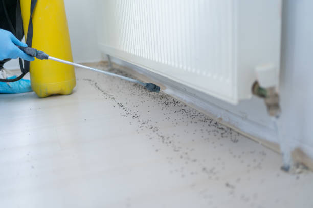 Pest Control for Restaurants in Clatskanie, OR